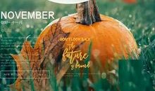 关于11月的优美句子