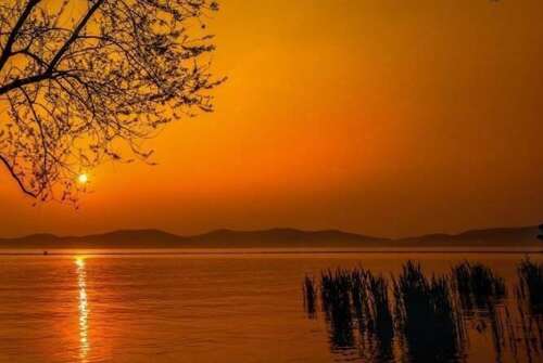 舒适快乐的美丽句子1