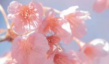 开心快乐的霸气经典句子