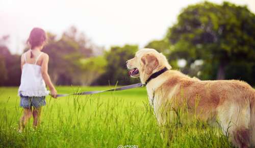快乐的日常幽默句子