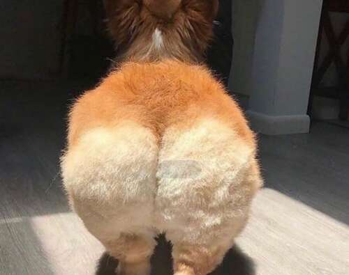 带有幸福微笑的美丽句子1