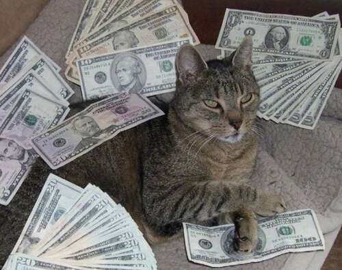 美丽的句子,带幸福的微笑2