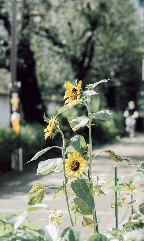 励志情感语录短句2