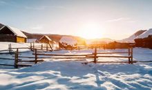 对某人失望心寒的经典句子