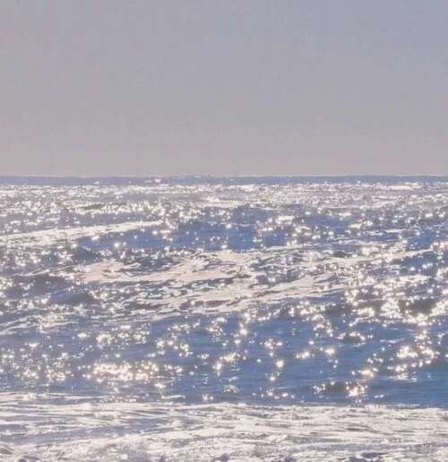 一名在爱情中受伤的女人的感伤句子1