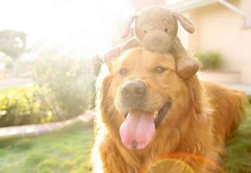 使女孩开心的句子