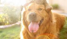 能让女孩开心的句子