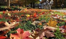 我虽然穷但过得很开心的句子