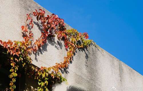 关于非常高兴的句子1