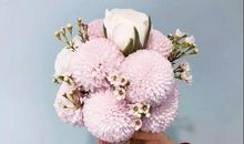 经典爱情句子句句暖心