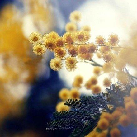 新景句子和图片