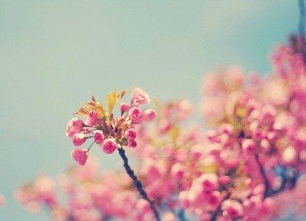 新景句子和图片1