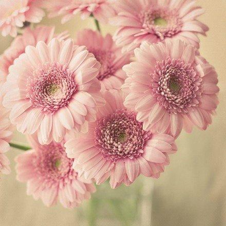 新景句子和图片2