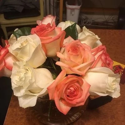 一句话描述玫瑰的美丽