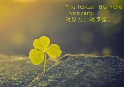 谈微信片中的人生感悟