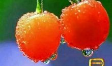 对朋友祝福的唯美句子