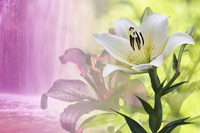 下雨了，冷静下来短信问候客户2