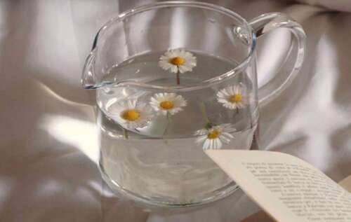 高EQ短语，适合在瞬间发布