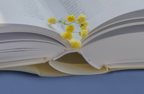 关于想念某人的句子2