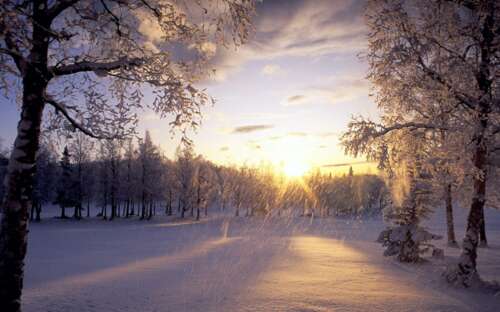 冬天的阳光美丽的句子