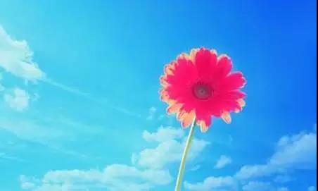 谈论朋友之间的友谊句子