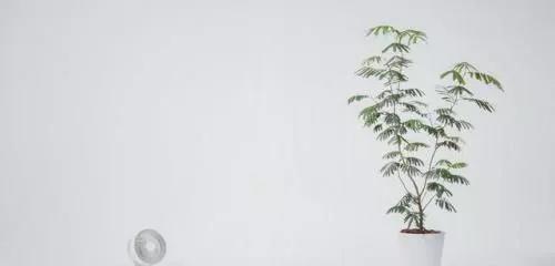 “十致命罪”对爱情的引述1