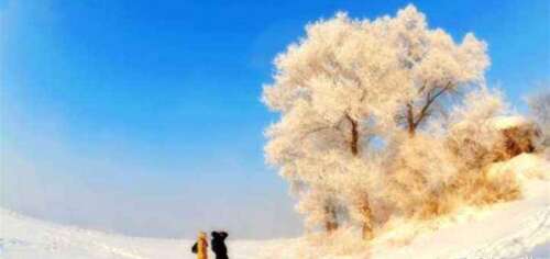 适合冬天的文案