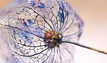 女人的艰辛的心语