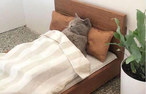 使您的朋友开心的句子