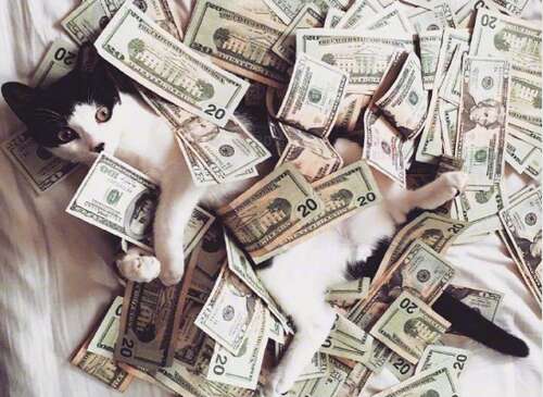 使人们乐于听一句话的句子