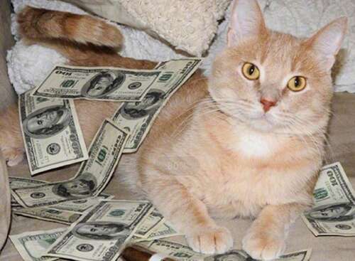 使人们高兴听到的句子一句话使人们高兴听到1