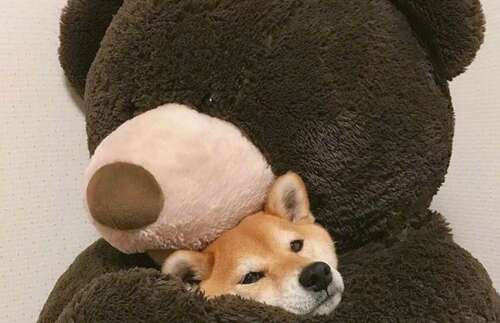 使您的朋友开心的句子2