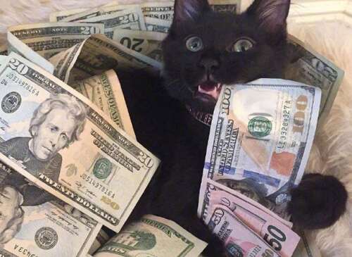 使人们聆听快乐的句子一句话使人们聆听快乐2