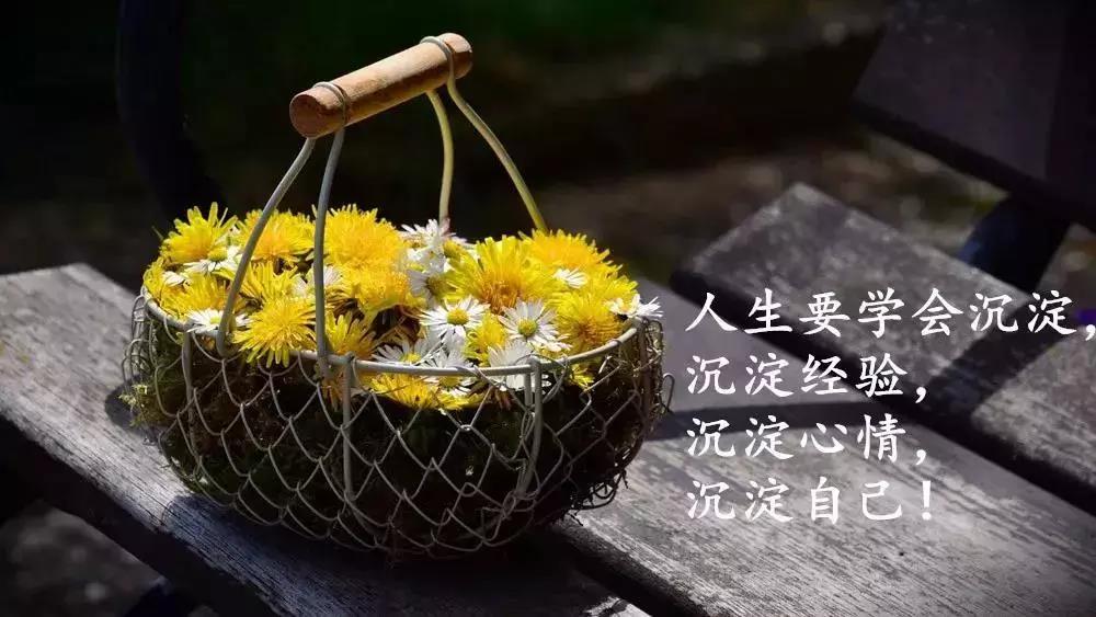 阳光短励志美句