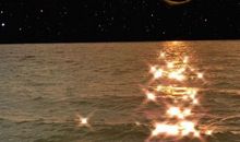 静静的离开心情句子