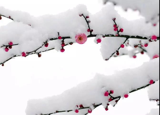 冬季句子，简短的句子，漂亮2