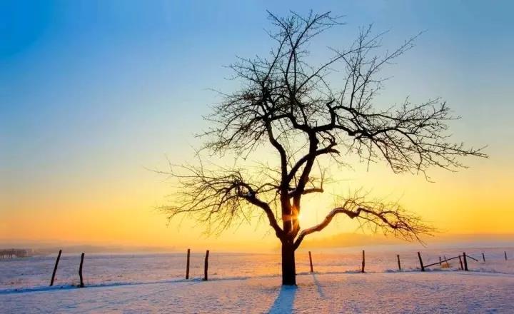 冬季句子，简短的句子，漂亮1