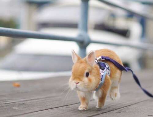 快乐饮酒的句子2