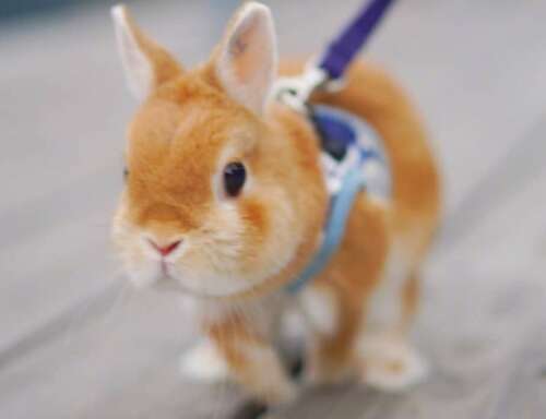 快乐饮酒一句话