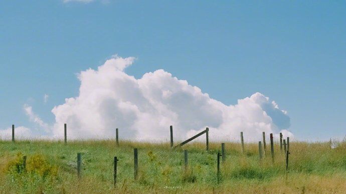 句子不愿意公开