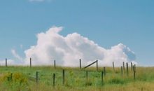 不愿敞开心扉的句子