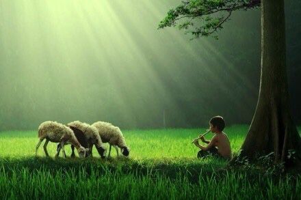 暑假最幸福的一句话