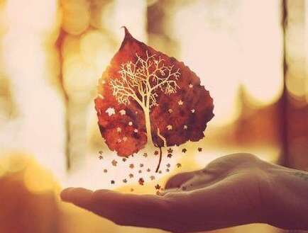 关于牙齿的快乐句子