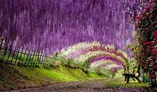 关于开心一天的句子