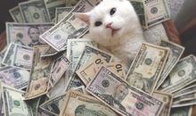 如何逗妹子开心的句子