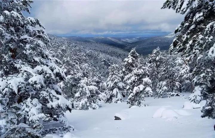 漂亮的句子描述冬天2