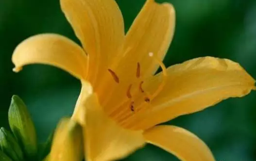 保持良好的态度，每天简短讲话2