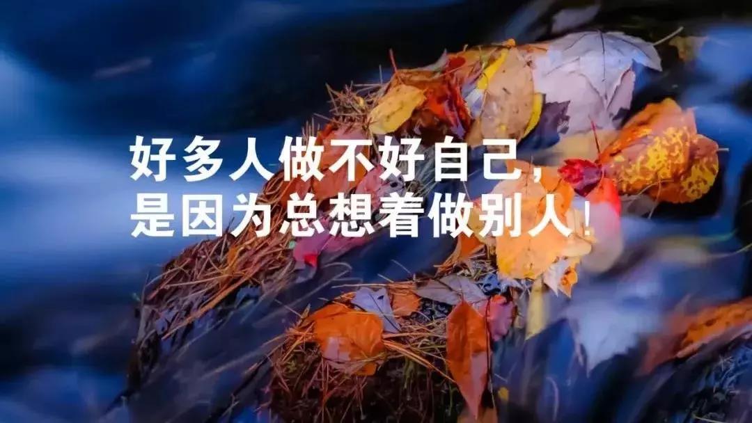 非常现实的段落适合发送Moments Moments 2