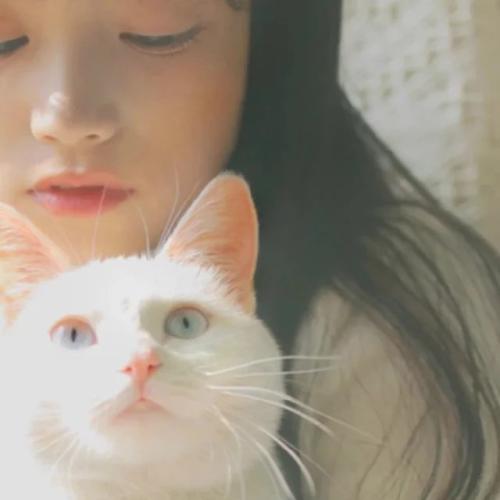 独自购物的一句话