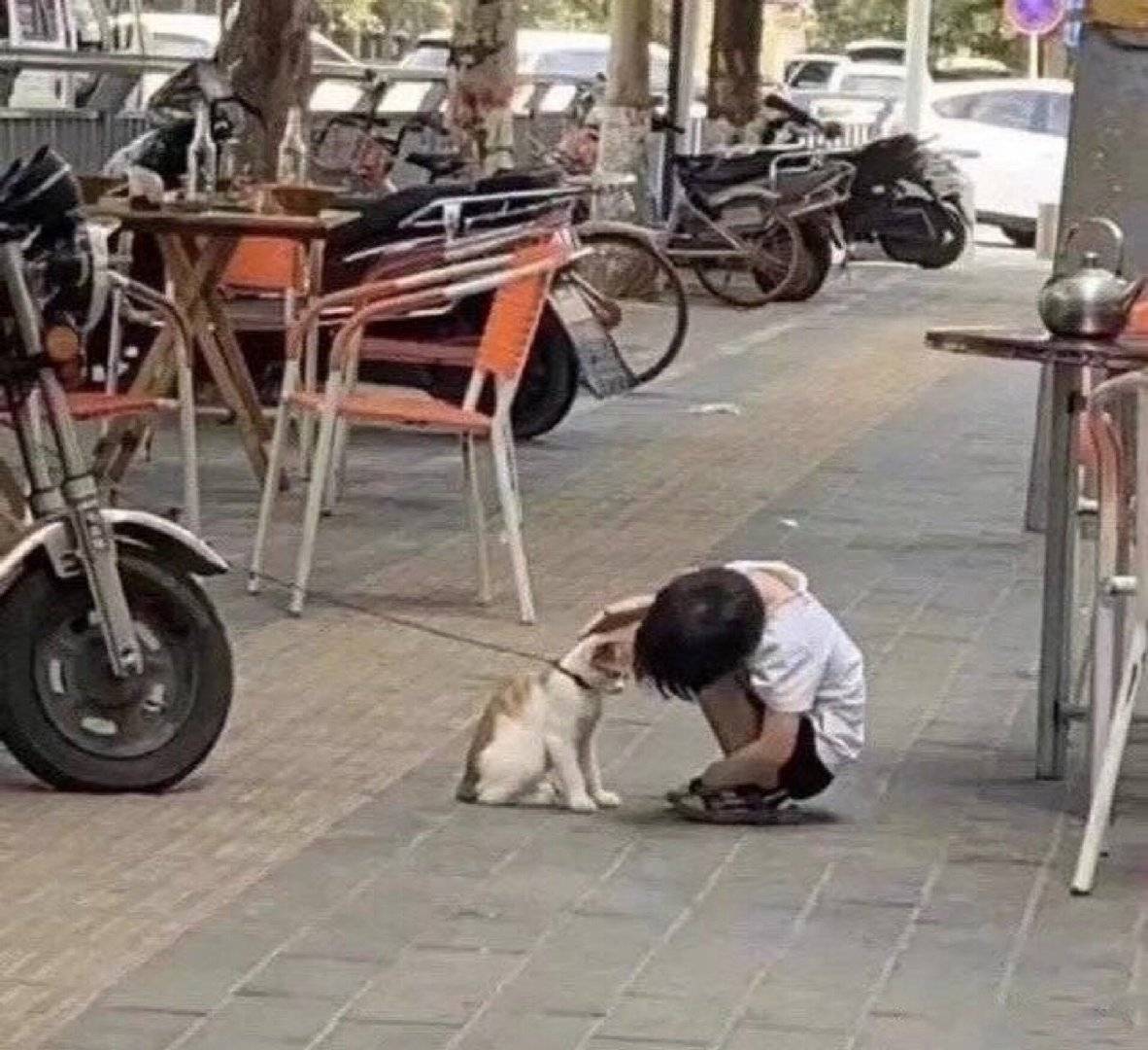 超级温柔干净的短句